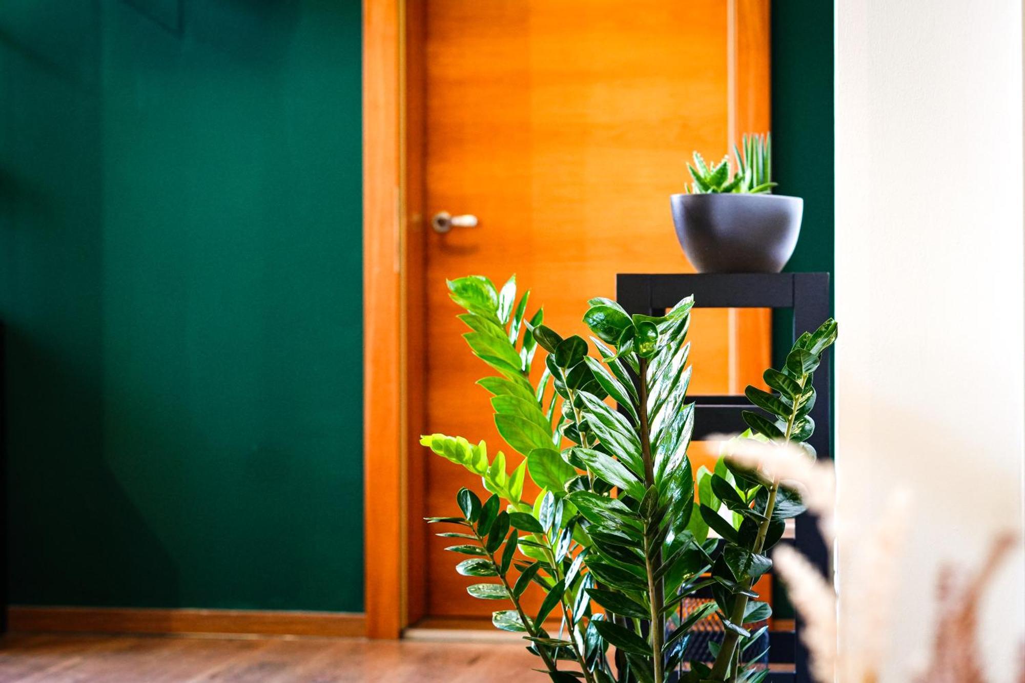 Apartmán Alpenloft Bregenz Exteriér fotografie